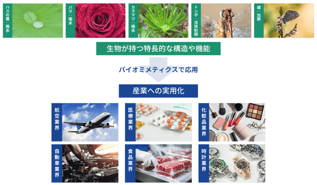 01｜バイオミメティクスとは