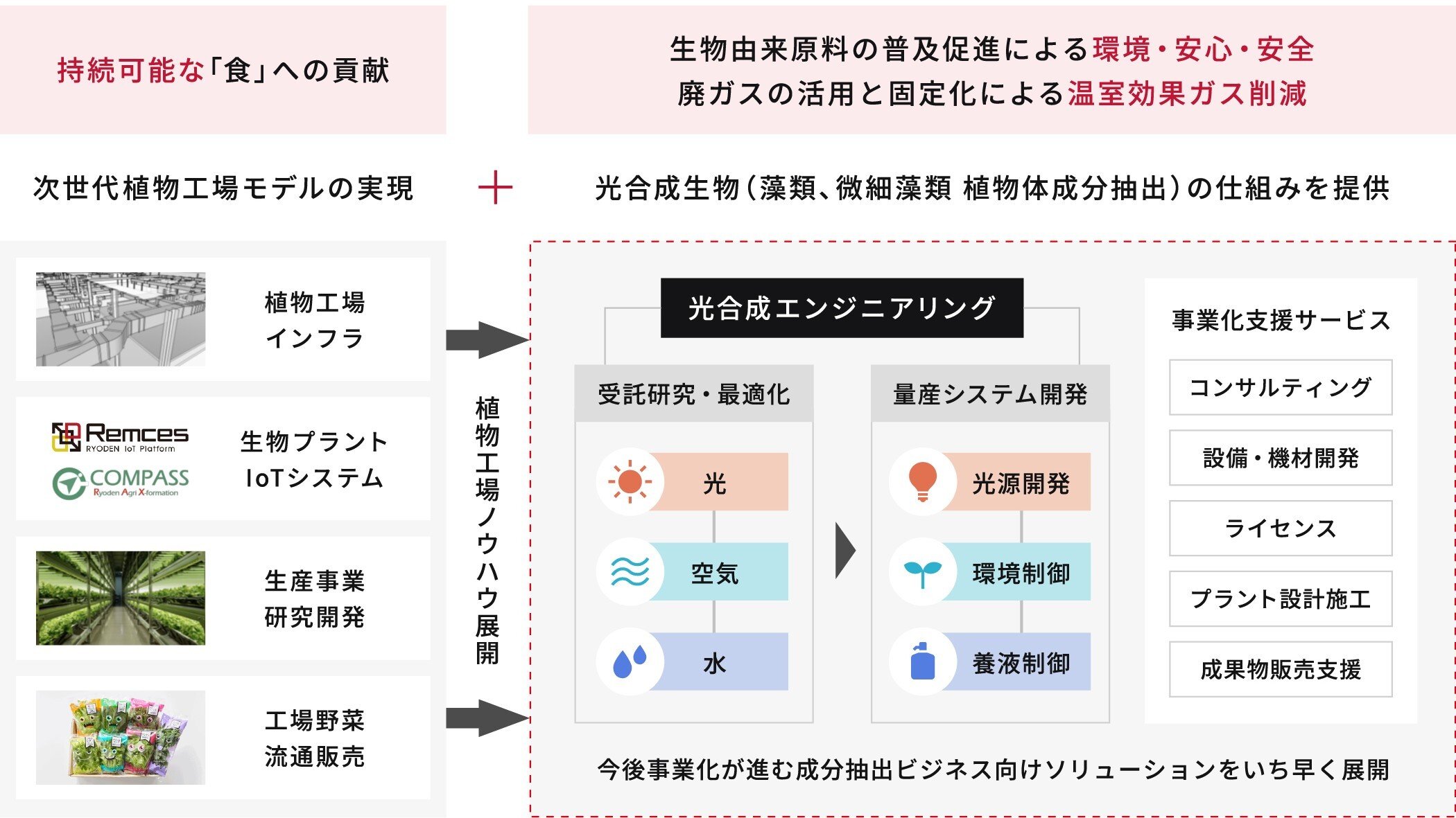 RYODEN スマートアグリ「光合成エンジニアリング」