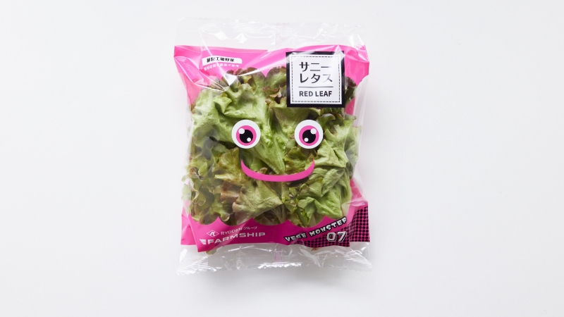 VEGE MONSTER「レッド」サニーレタス