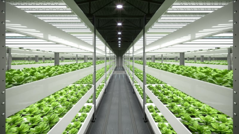 スマートアグリ事業